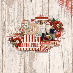 Pocket Life '15: Holiday Collection by Traci Reed Jump Right In by Two Tiny Turtles