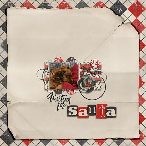 Winter Woodland Bundle by Etc. by Danyale Preserved by Sara Gleason