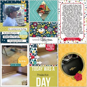 Pocket Life '15: July Collection by Traci Reed 