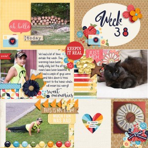 Week 38 Pocket Life '15 - September Collection by Traci Reed  